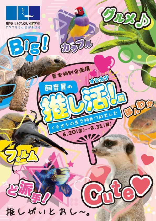【夏季特別企画展】飼育員の推し活!展 ~イチオシの生き物あつめました~