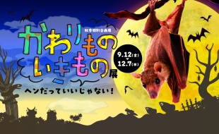 【秋季特別企画展】かわりものいきもの展 ～ヘンだっていいじゃない！～
