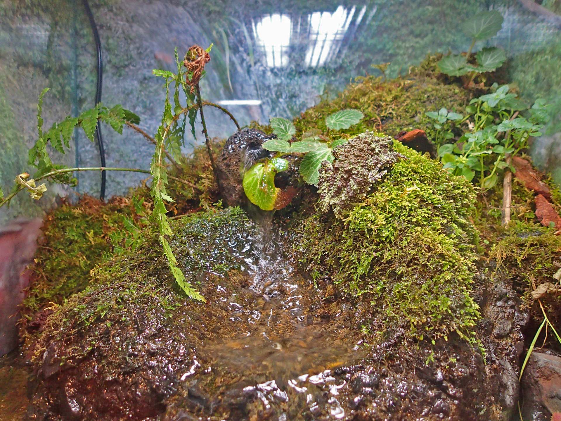 de21f9a5e8796b2df4170dad1cb9ab