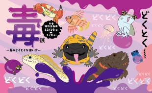 【冬季特別企画展】毒展 ～毒のどくとくな使い方～