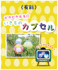 【ピカピカ光る！いきものカプセル】3月7日(土)～4月19日(日)の土日祝日(春休み期間3月26日(木)～4月5日(日)は毎日)