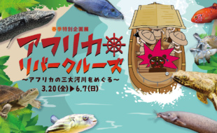 【春季特別企画展】アフリカリバークルーズ ～アフリカの三大河川をめぐる～