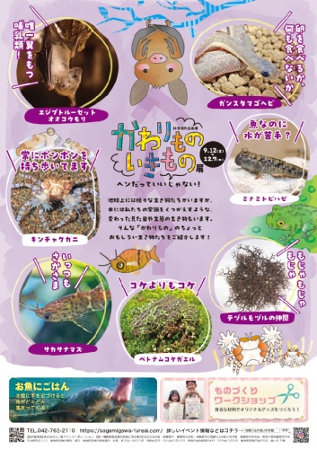 かわりものいきもの展