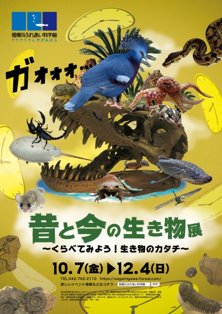 特別企画展「昔と今の生き物展」