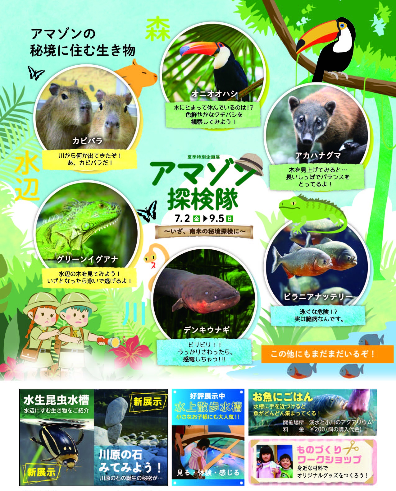 特別企画展「アマゾン探検隊 ~いざ、南米の秘境探検へ~」
