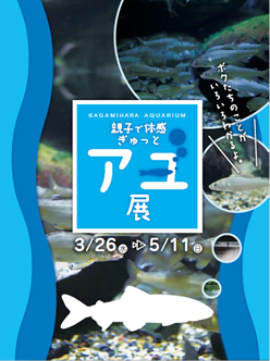 特別企画展 「親子で体感 ぎゅっとアユ」展