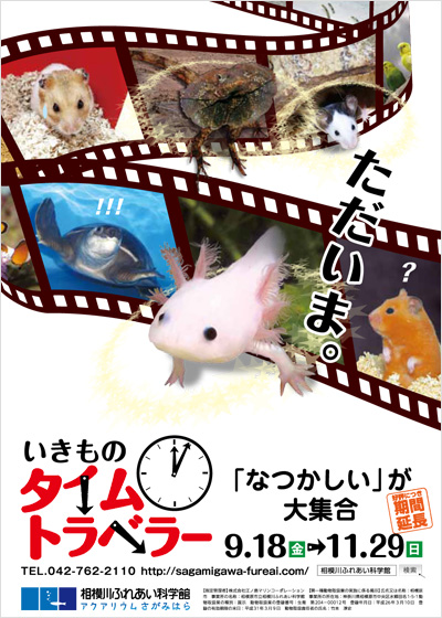 特別企画展 いきものタイムトラベラー