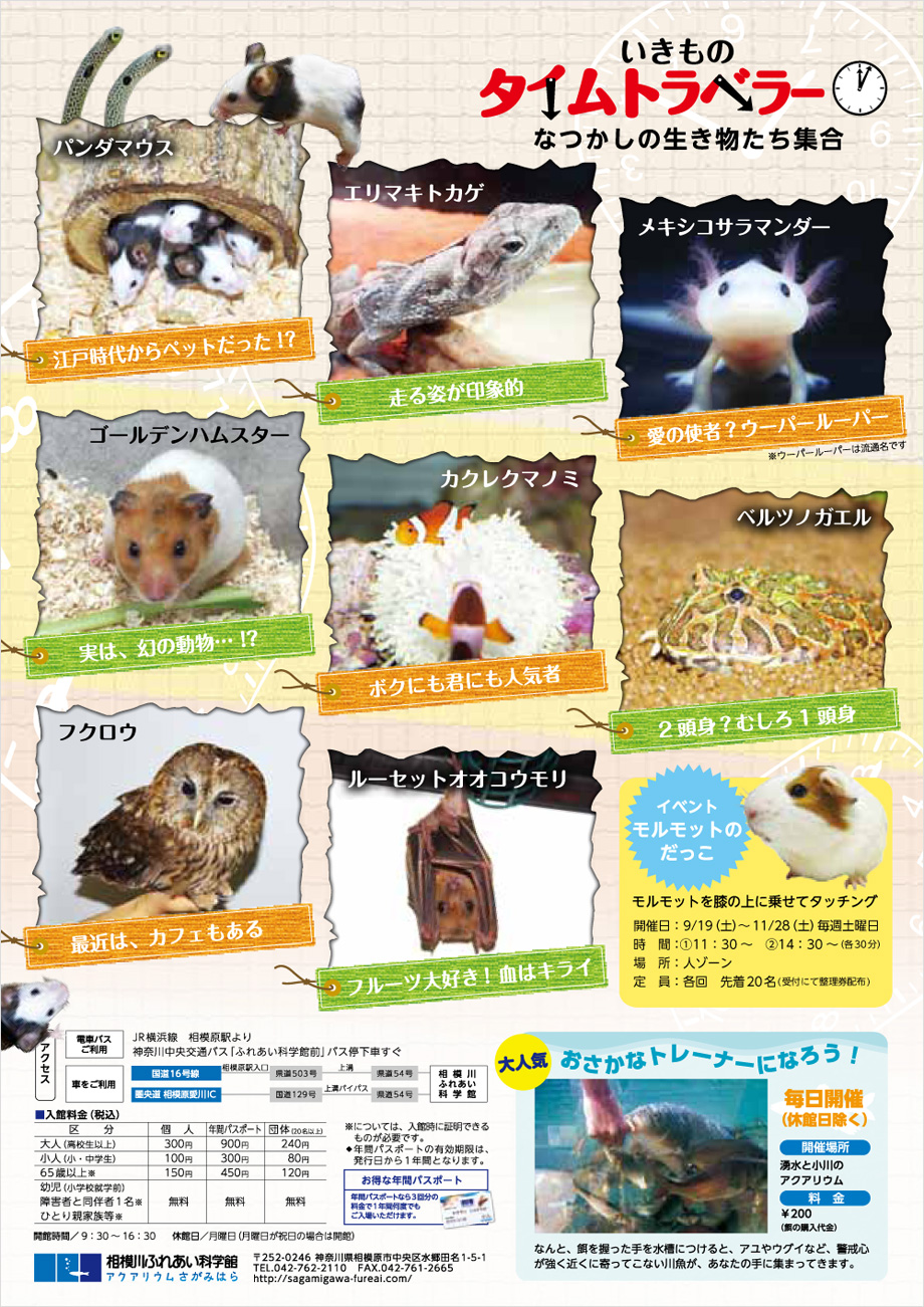 特別企画展 いきものタイムトラベラー