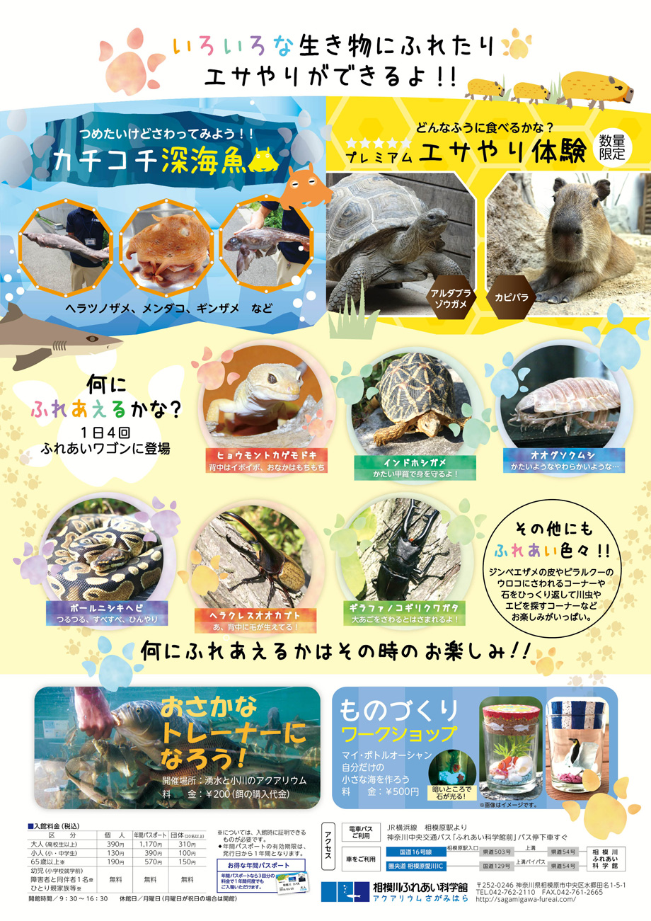 特別企画展「ふれあい夏まつり ~ふれて感じるいろんなコト~」