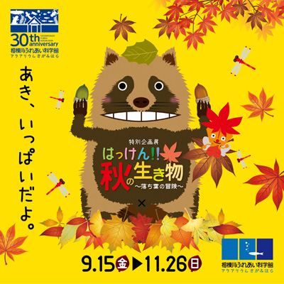 特別企画展「はっけん!!秋の生き物 ~落ち葉の冒険~」