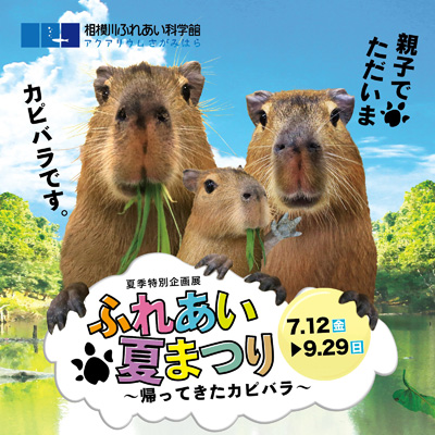 特別企画展「ふれあい夏まつり ~帰ってきたカピバラ~」