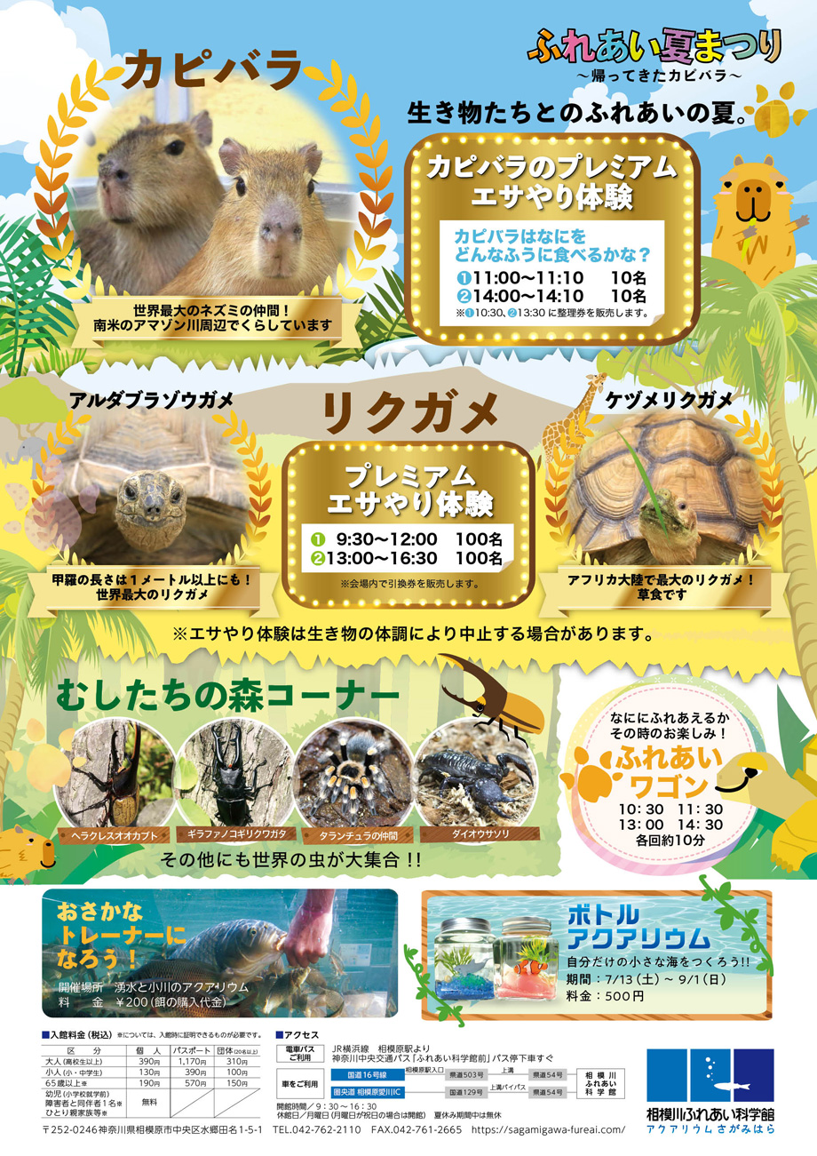 特別企画展「ふれあい夏まつり ~帰ってきたカピバラ~」