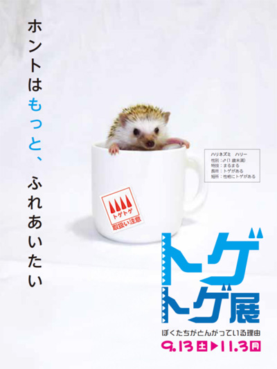 特別企画展 トゲトゲ展