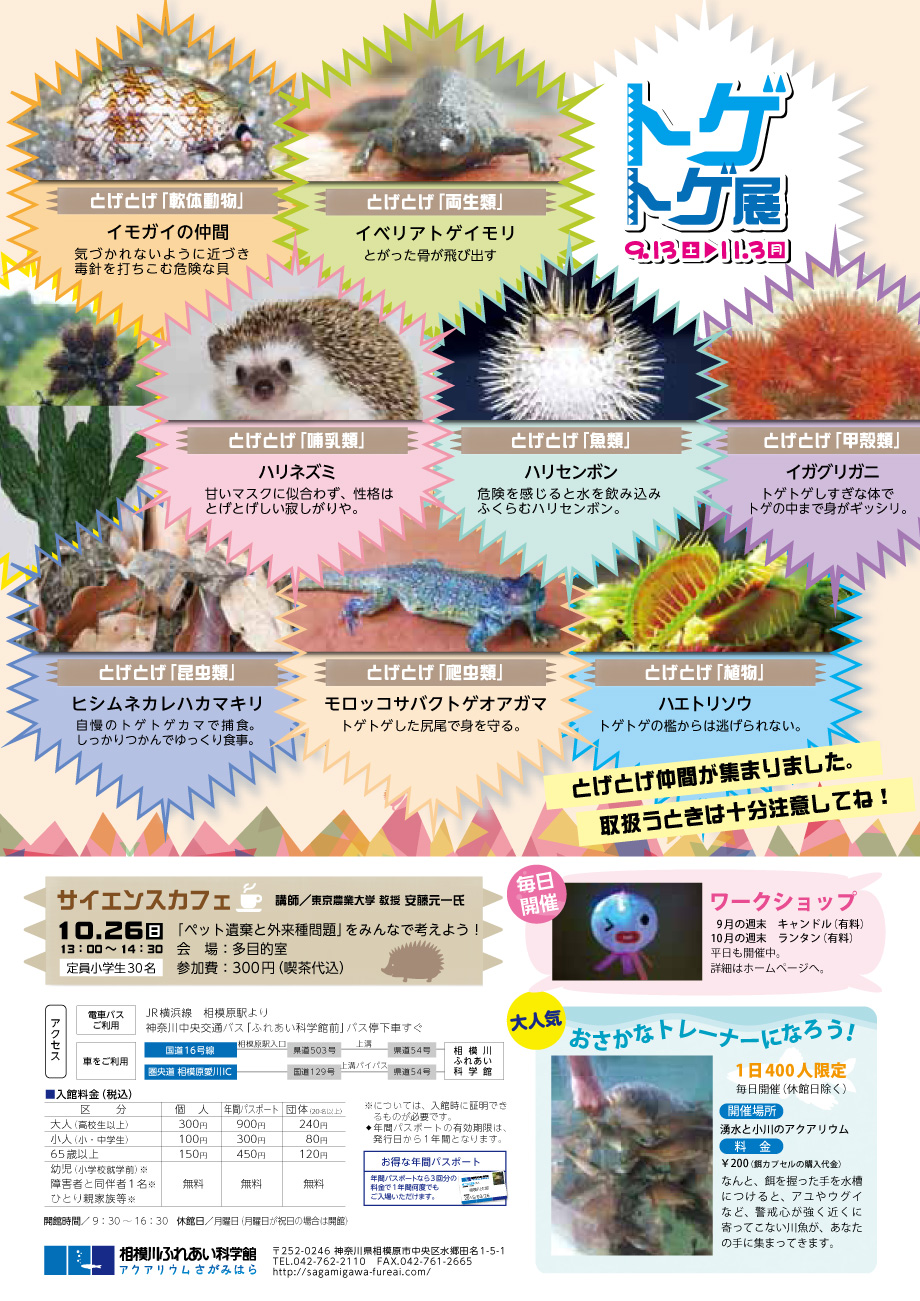 特別企画展 トゲトゲ展